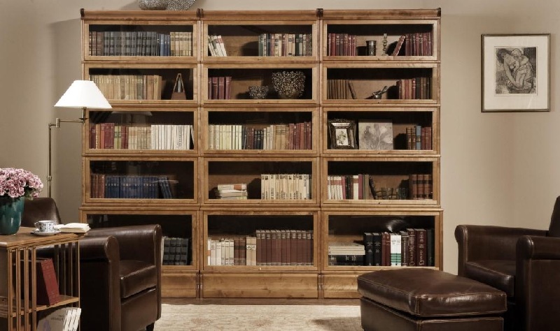 Bookcases In The Living Room Interior