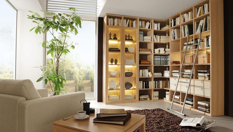 Bookcases In The Living Room Interior