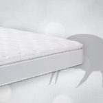 dust mites in mattress