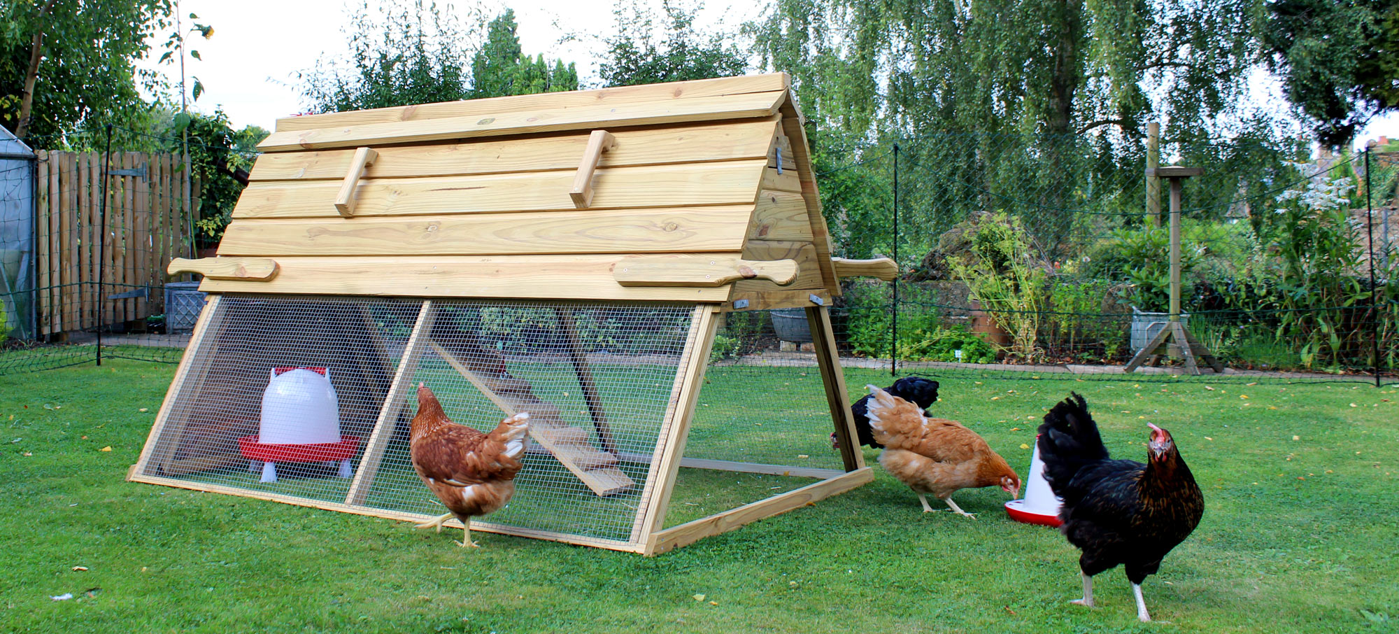 How to Make a Chicken Coop