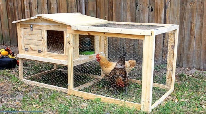 How to Make a Chicken Coop
