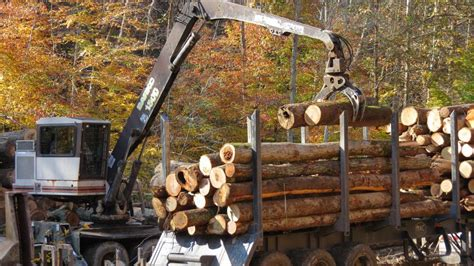 How is Wood Harvested?