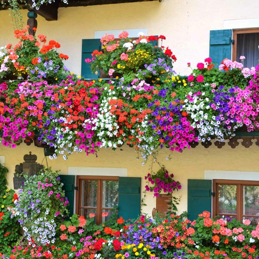 design a balcony garden