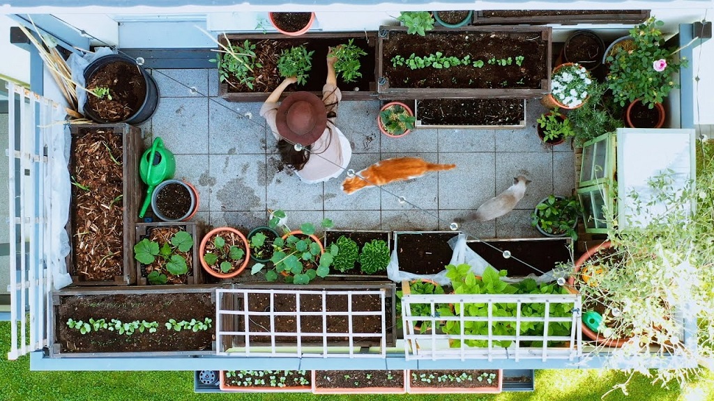 garden on your balcony