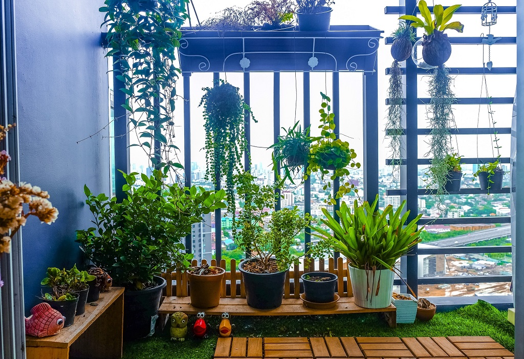 garden on your balcony