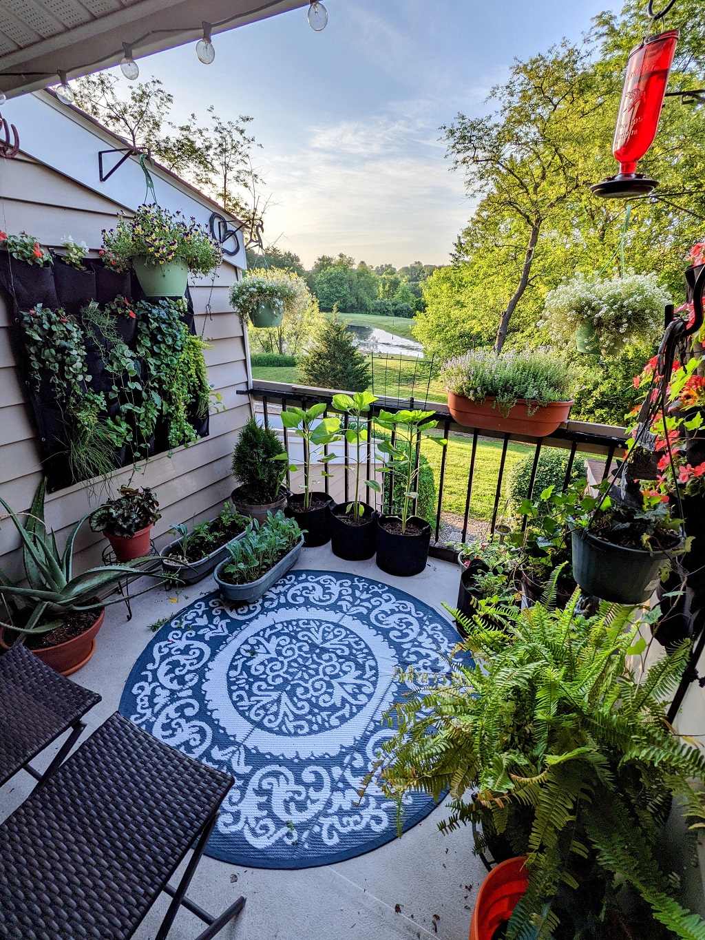 To make a balcony garden