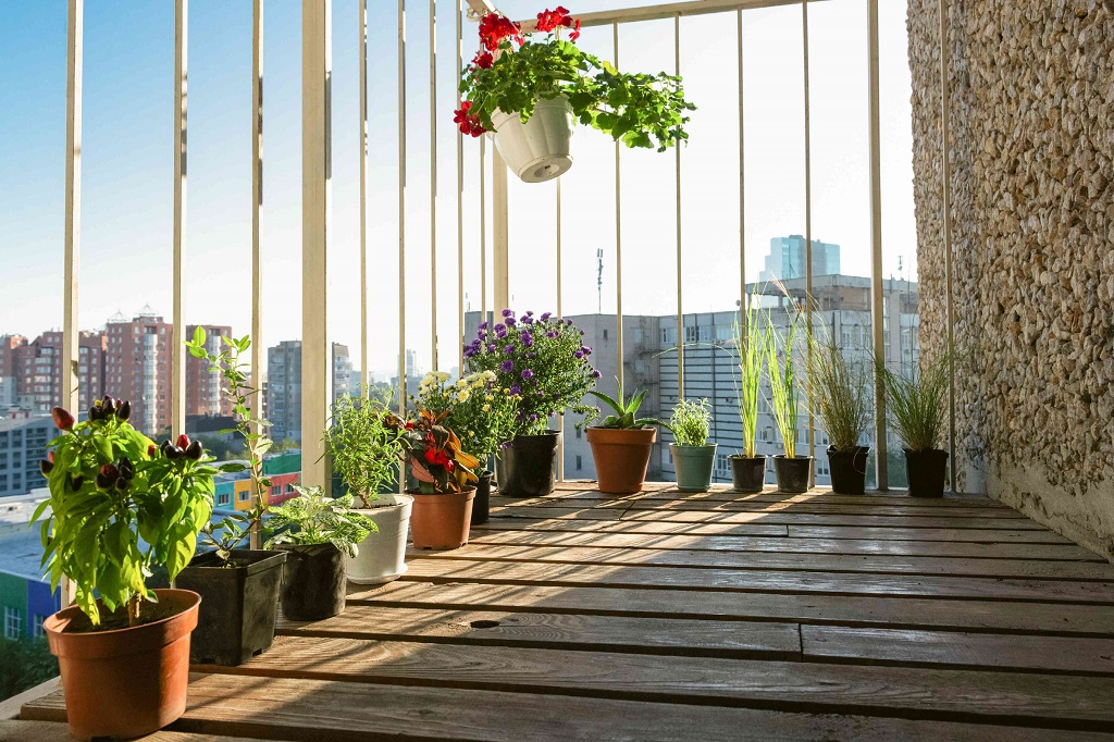 To make a balcony garden